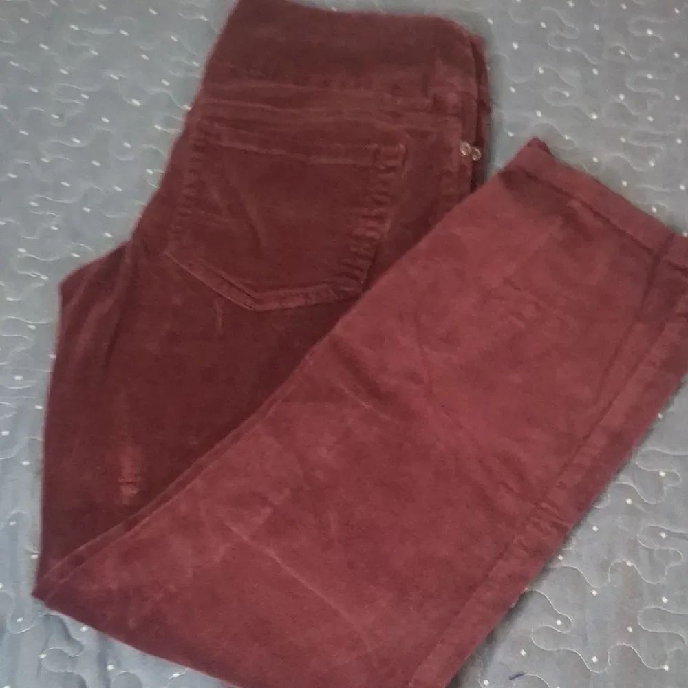 Chapwick Women's Burgundy Corduroy pants size 2P
